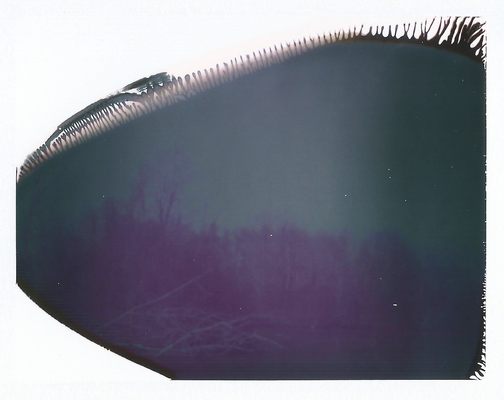 Pinhole Trees Polaroid Pinhole Camera Polaroid 689 Film (e… Flickr