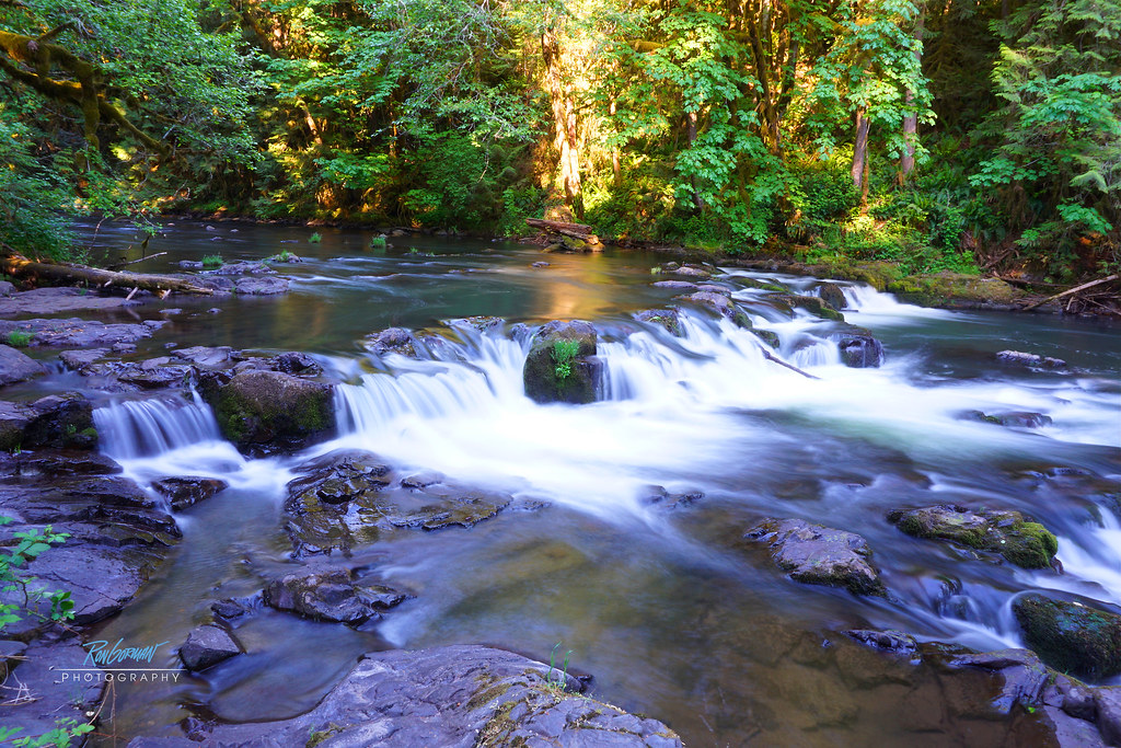 Fall Creek Falls Little Fall Creek Lowell Oregon Ron Gorman Flickr