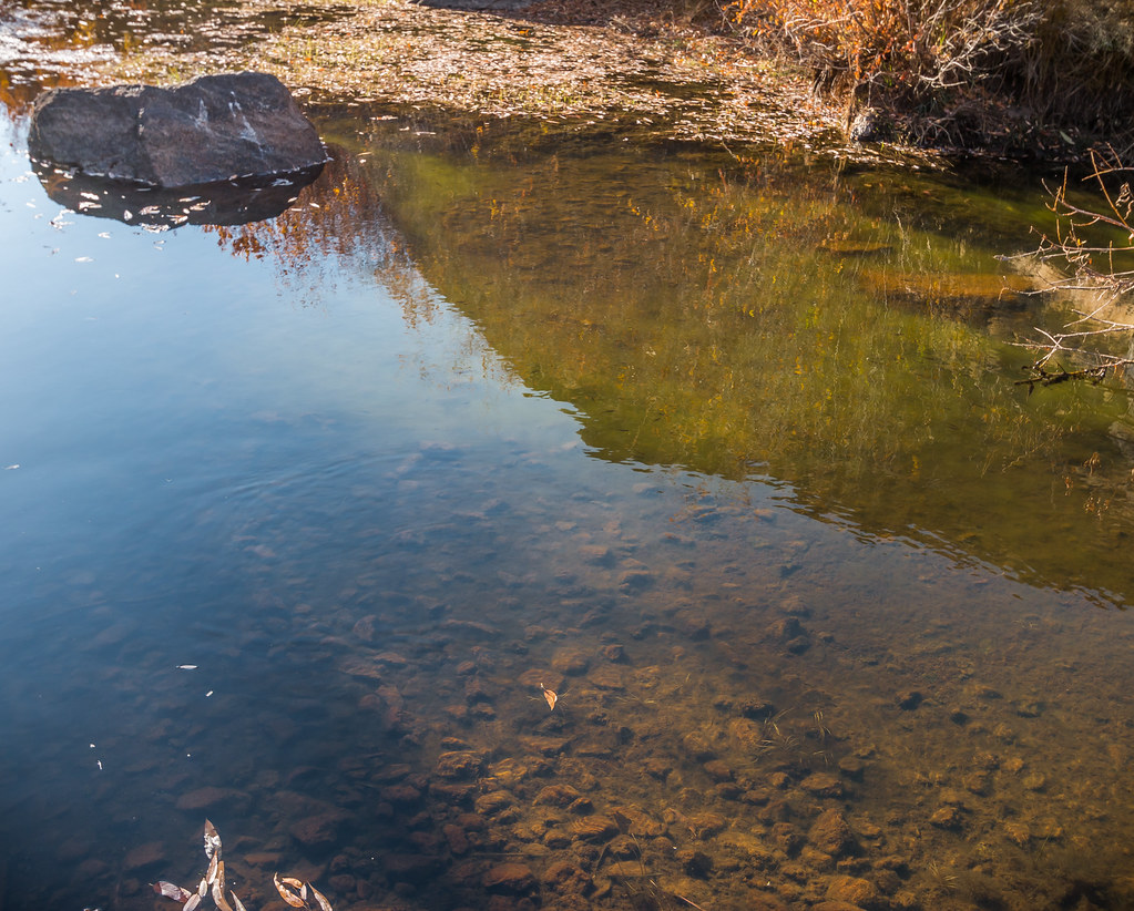 West Little Owyhee Wild and Scenic River Pool of water in … Flickr