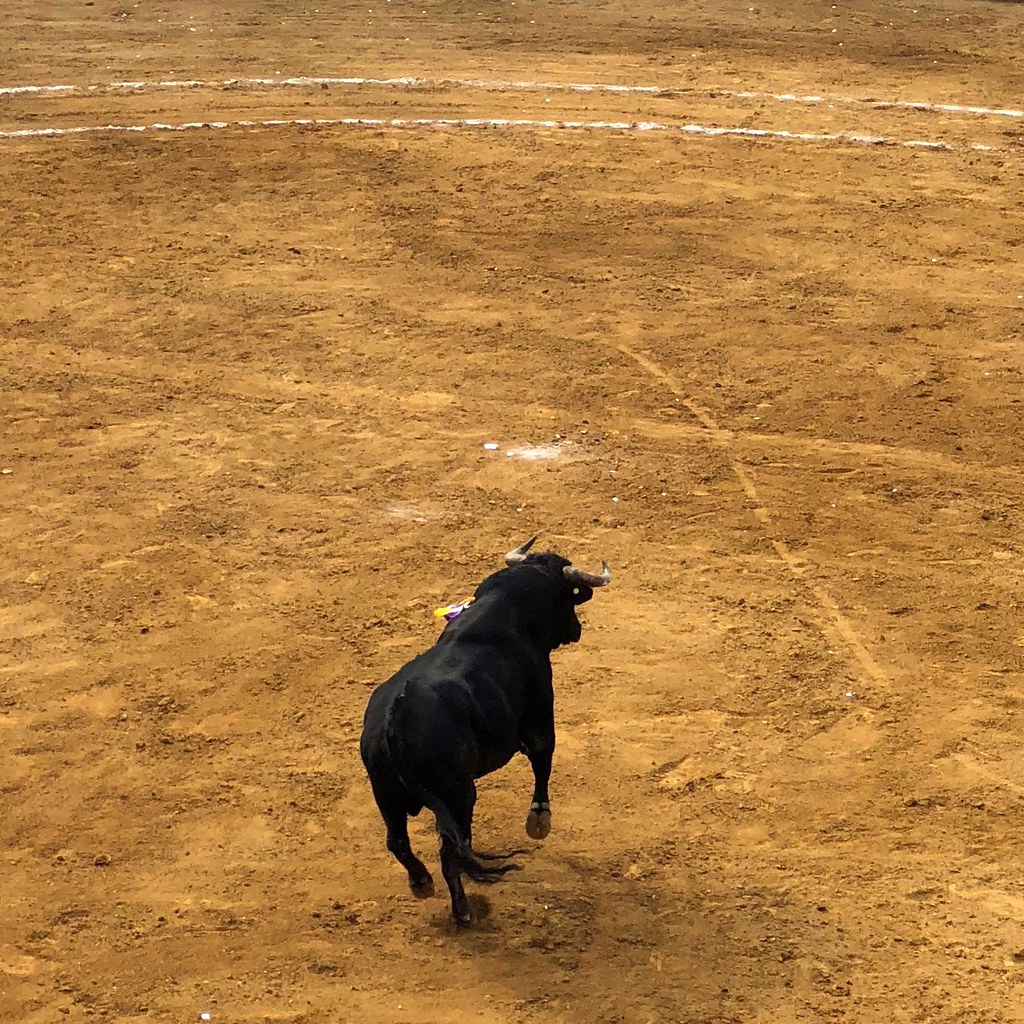 Torreón de Cañas / Teólogo / no.283 🇲🇽 Plaza de Toros Si… Flickr