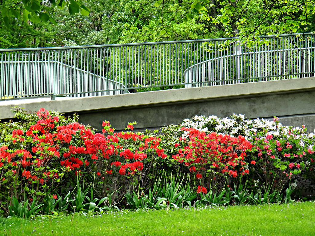 Fence and Flowers Kiel, Germany Colorado Sands Flickr