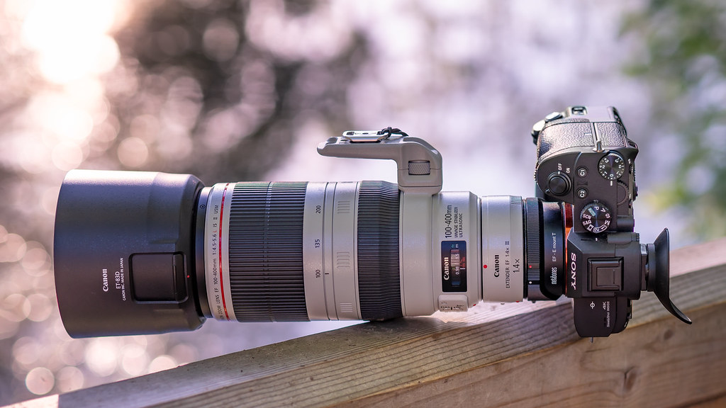Canon EF 1124mm Lens Review Sony A7iii With Canon Lenses