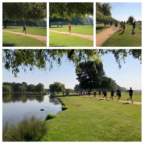 Heron Pond Juliemp66 Flickr