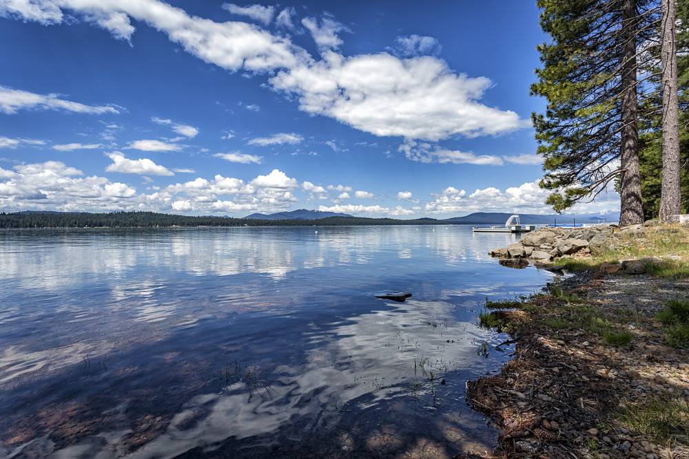 The West Shore Today I had a job at Lake Almanor. This is … Flickr