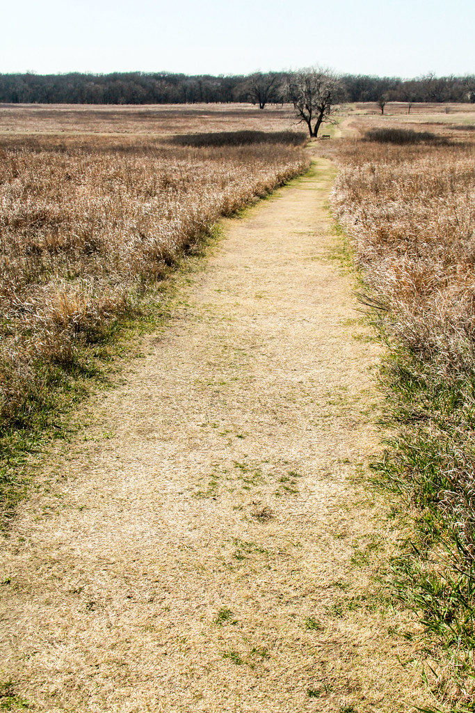 Market road A farm market road cross John Freeman's homest… Flickr