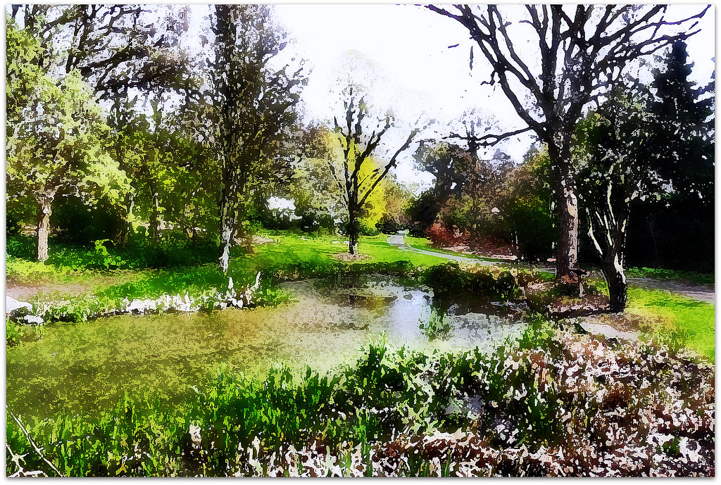 Dundee Botanical Gardens A wee bit of artwork from Dundee … Flickr