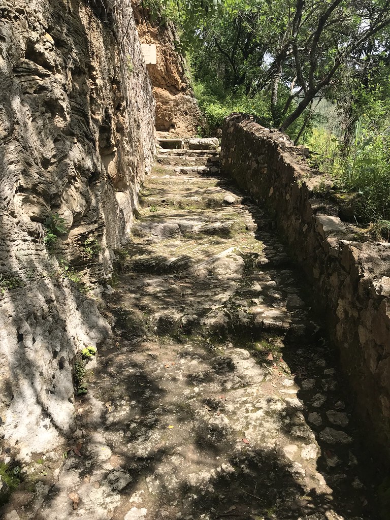 IMG_3006 Scott Hill Flickr