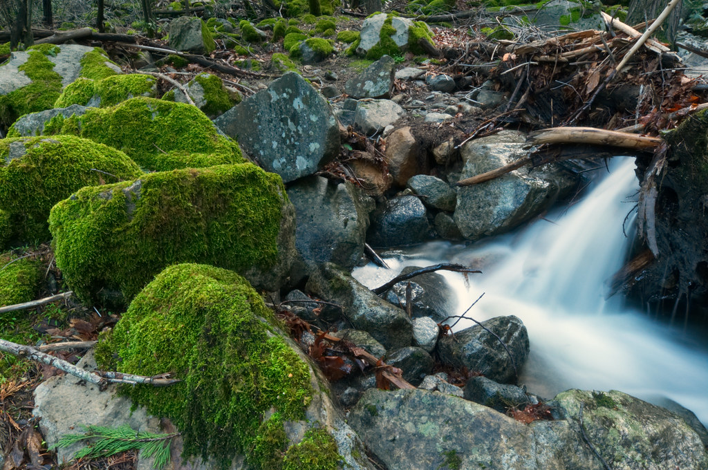 Tranquility Yosemite National Park, California Yet anoth… Flickr