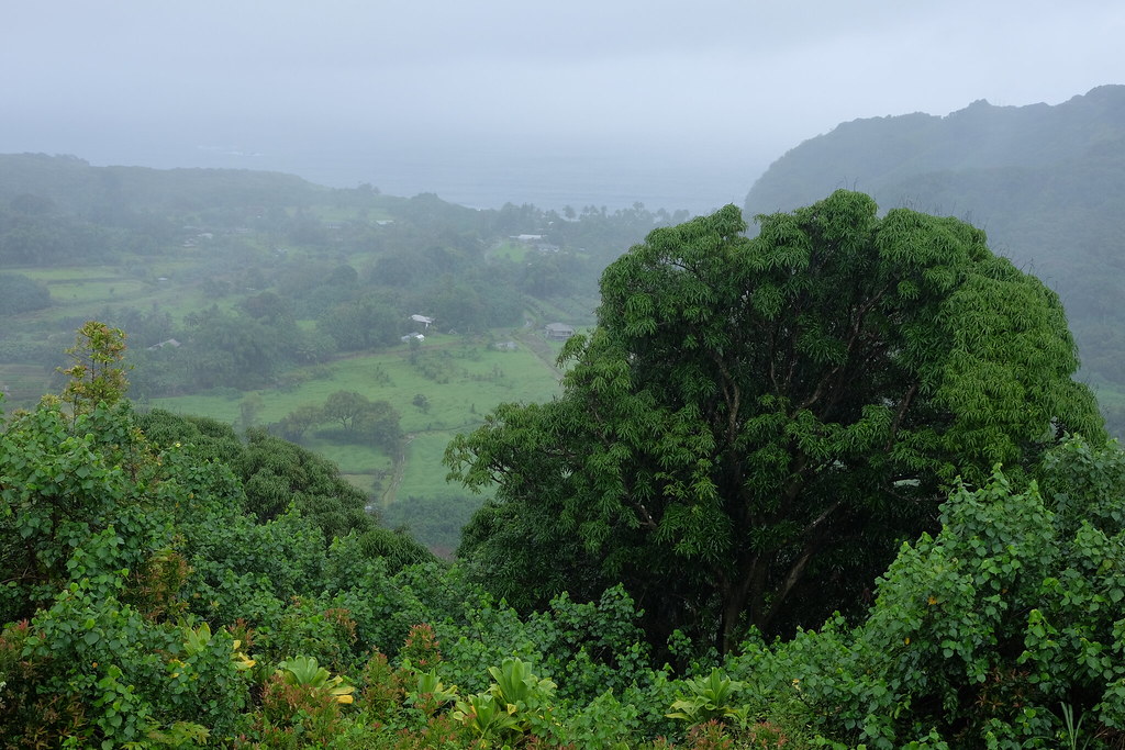 Green time, Maui, Hawaii, April’18 vlas.khilkevich Flickr