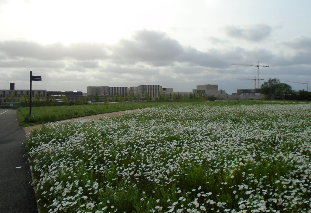 Eddington from Gravel Hill Farm James Bowe Flickr