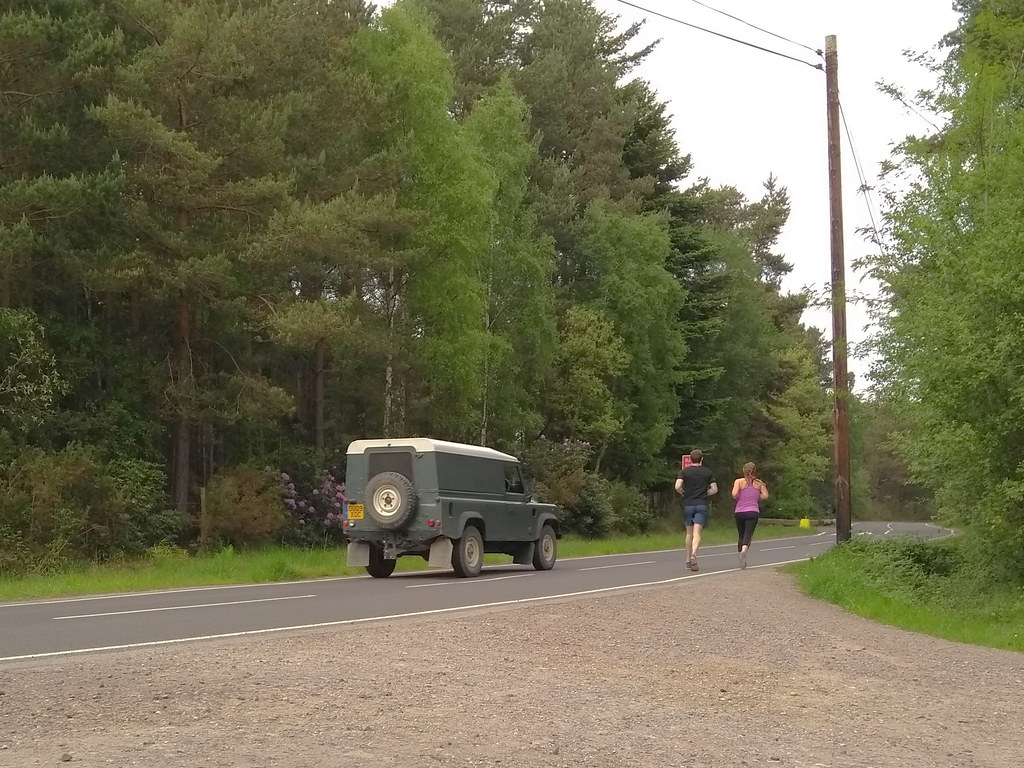 Woodland road Hawley Woods, Farnborough. Richard81MY Flickr