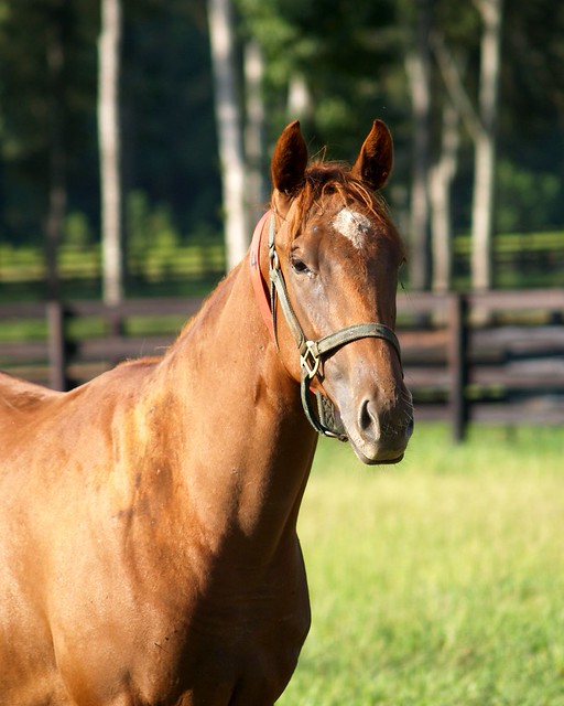 Who Are You? a photo on Flickriver