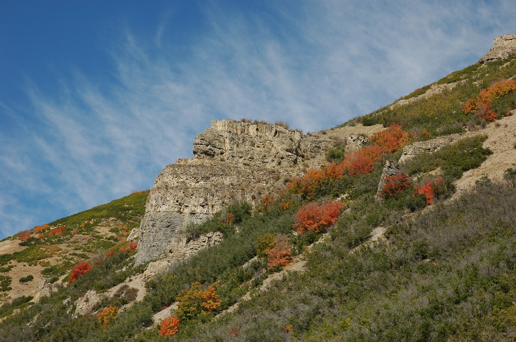 Untitled A view from Vivian Park, Provo Canyon, UT. Andy Orr Flickr