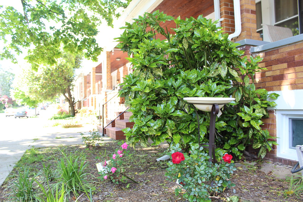 New Homeowner Leila Kimbrough St. Ambrose Housing Flickr