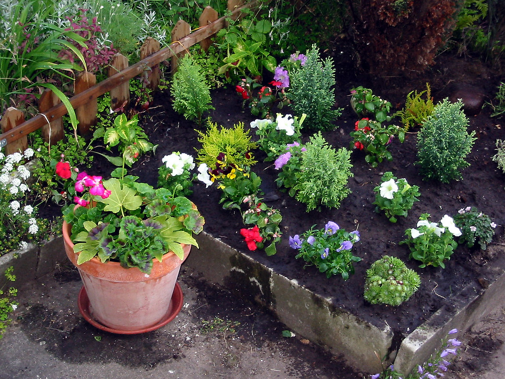 20040602007 My Garden, Broughty Ferry Peter Roberts Flickr