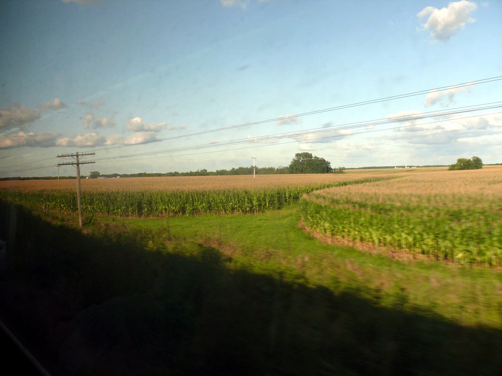 20090822 60 Illinois countryside David Wilson Flickr