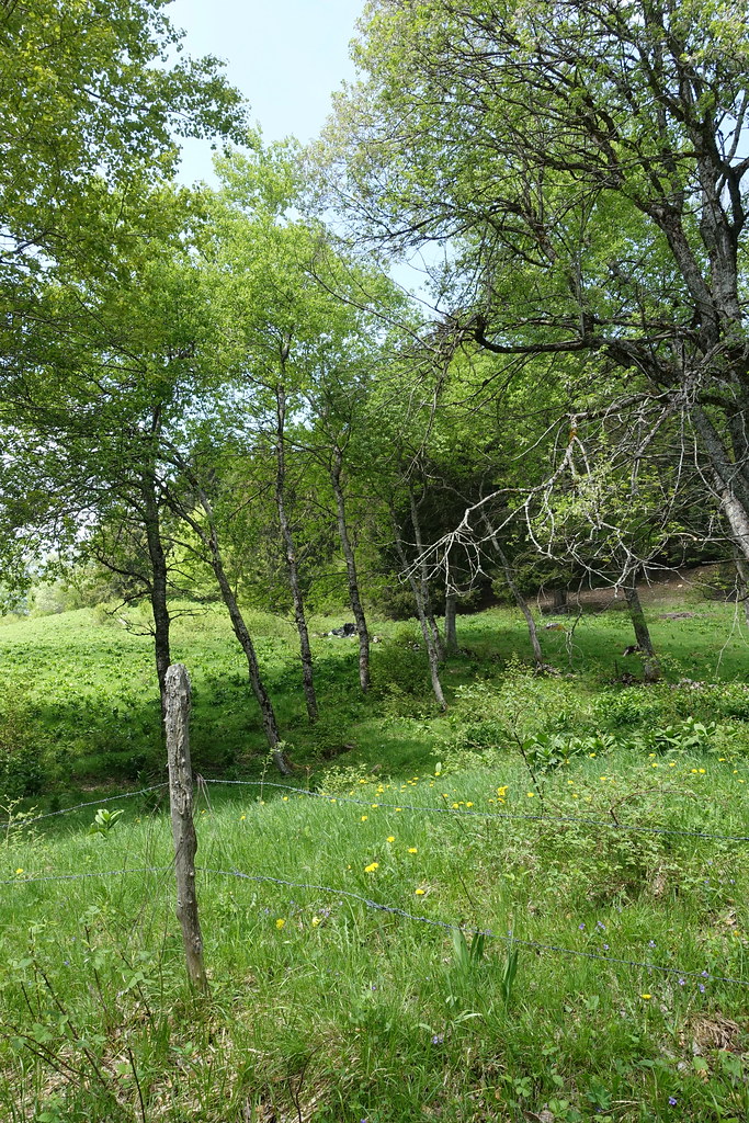 La Motte Hike to Pointe de Vélan Guilhem Vellut Flickr
