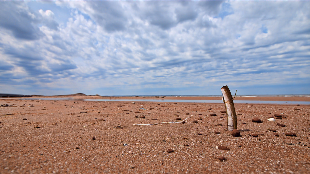 Beach Scene Covehead Beach, PEI Cameron Davison Flickr