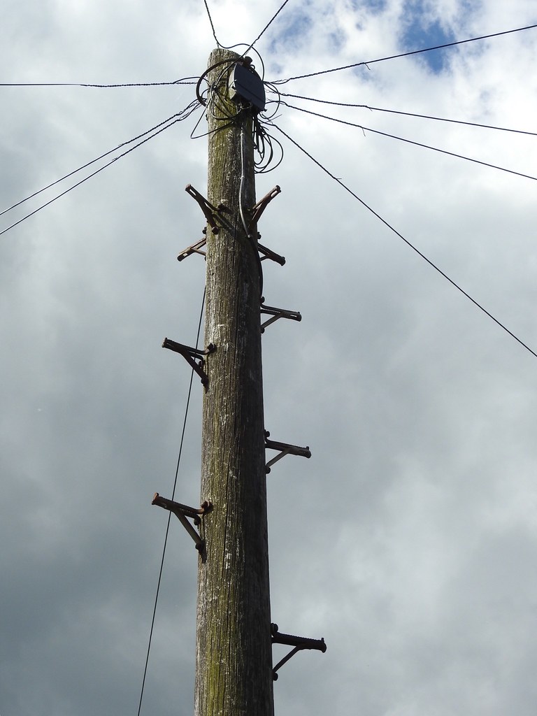 Telegraph Pole, Lansdowne, Sebastopol, Pontypool 13 May 20… Flickr
