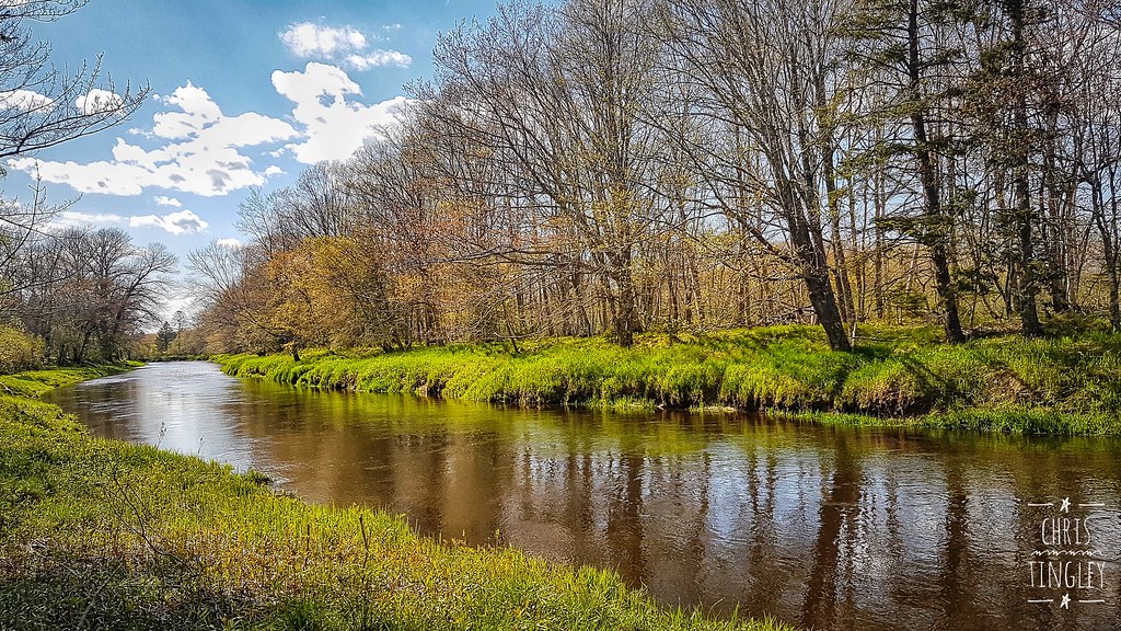River bank River bank Chris Tingley Flickr