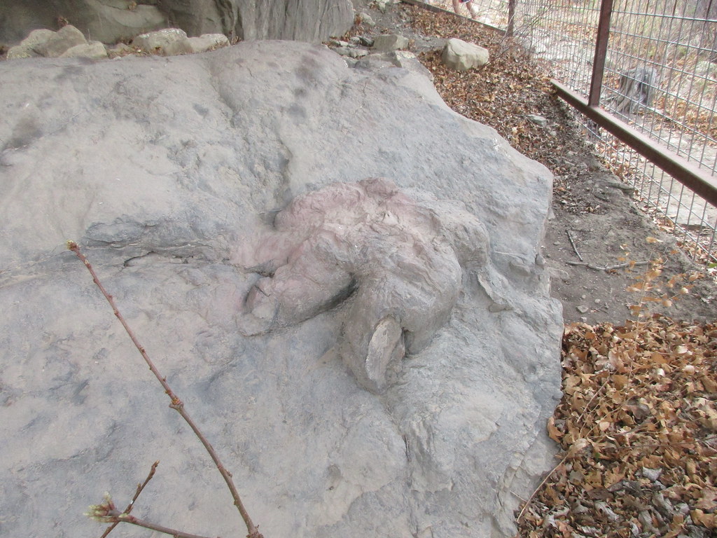 Philmont Ranch Family Weekend Trex footprint. One of two … Flickr