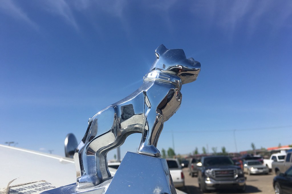 2018/365/147 Drive Like a Big Dog 2018/365/147 Drive Like … Flickr