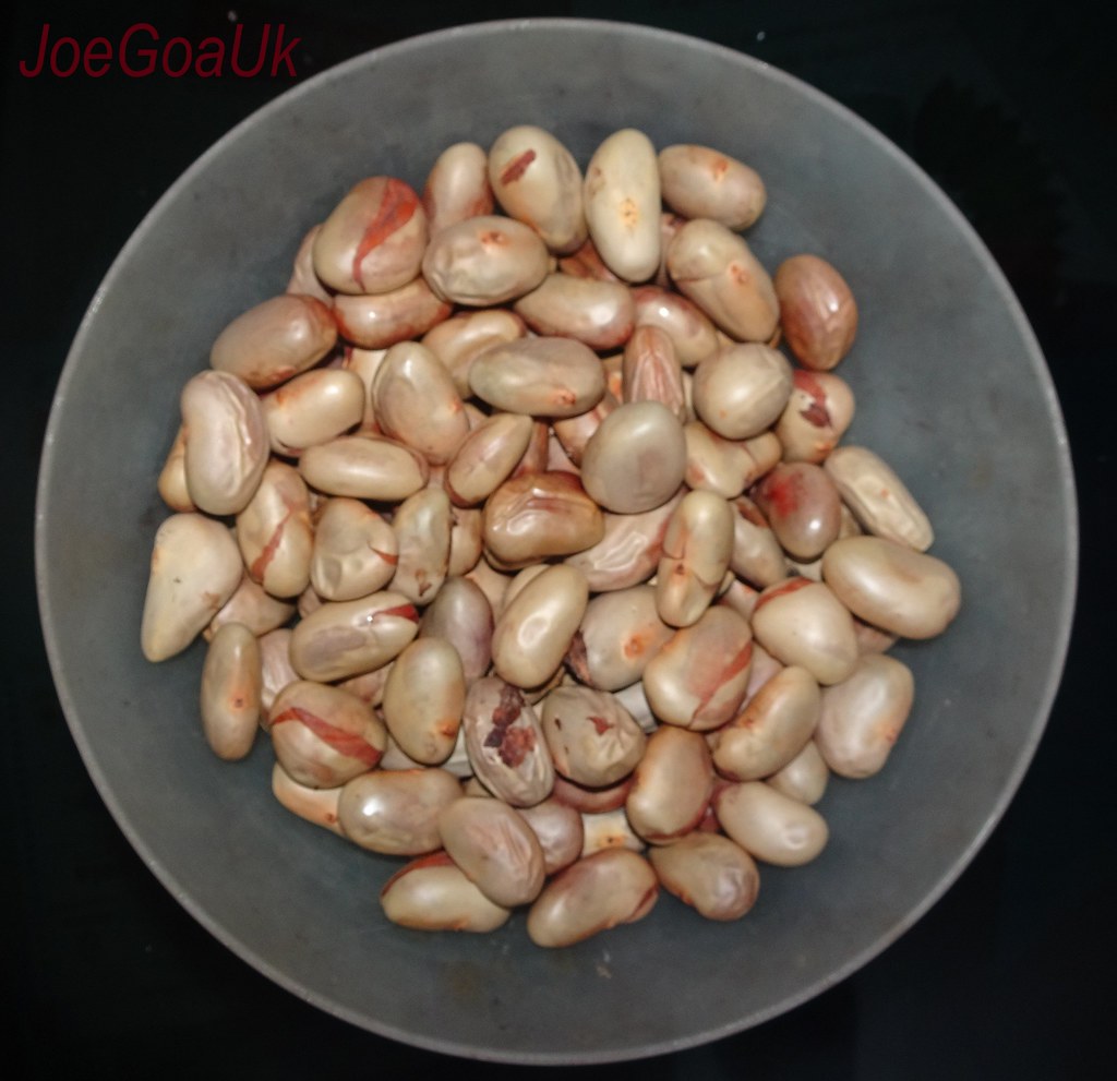 Jackfruit nuts Jackfruit seeds boiled or cooked ready to e… Flickr
