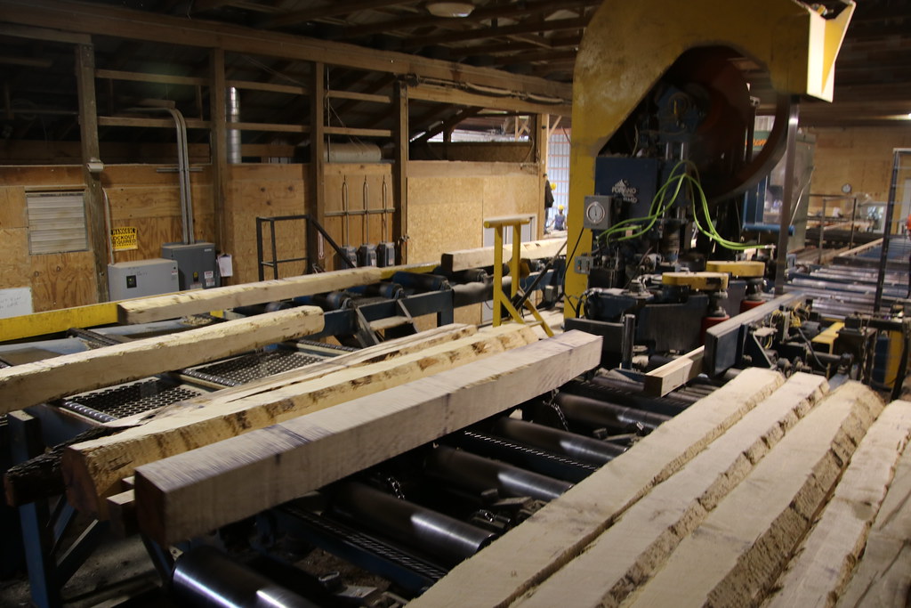 Visit to Maples Hardwoods Sawmill Hessel, Michigan (Wedn… Flickr