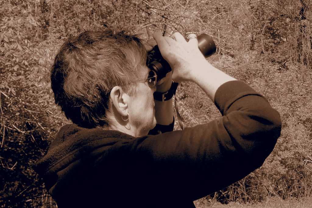 birding_10 OLYMPUS DIGITAL CAMERA TCDavis Flickr