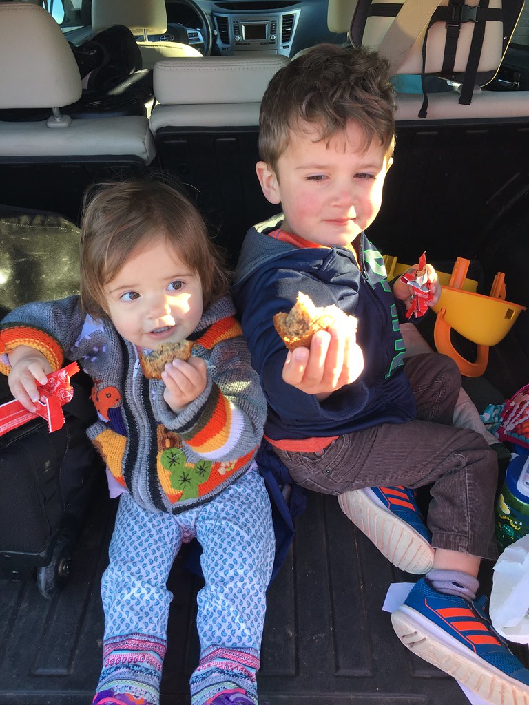 Elevation of Mill Cove, NB E4C 3C6, Canada Topographic Map Altitude Map