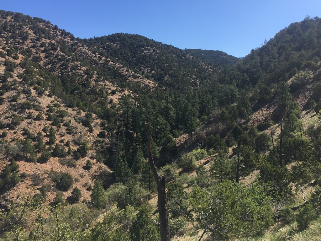 Descent Into the valley of Tesuque Creek capn_krc Flickr