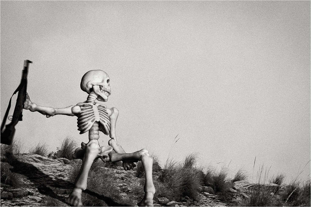 The Fall of Napoleon For week 16 of Hayling Island Camera … Flickr