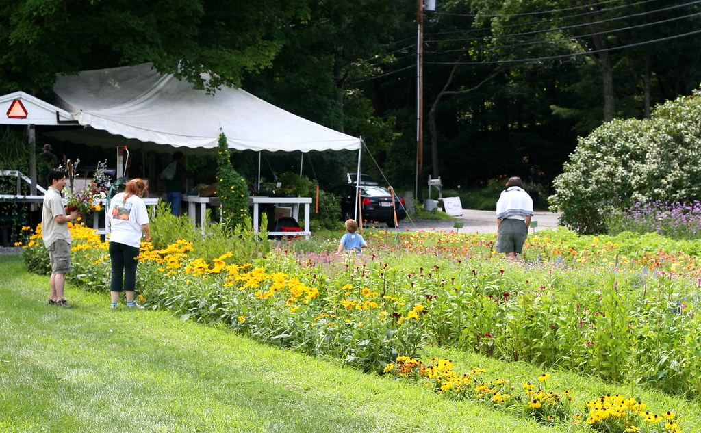 Small Farm, Stow, MA A farm stand where you can buy luscio… Flickr