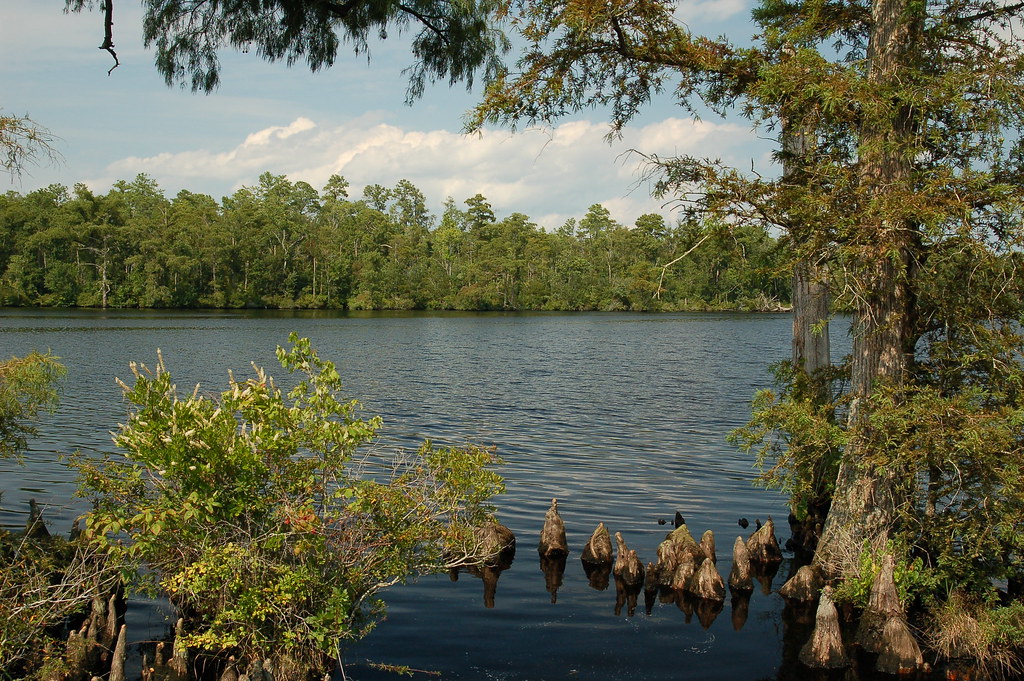 River Scene Pasquotank River,Elizabeth City,NC mark pillsbury Flickr