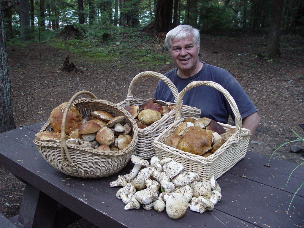 Porcini & Matsutake Jon Rowley Flickr