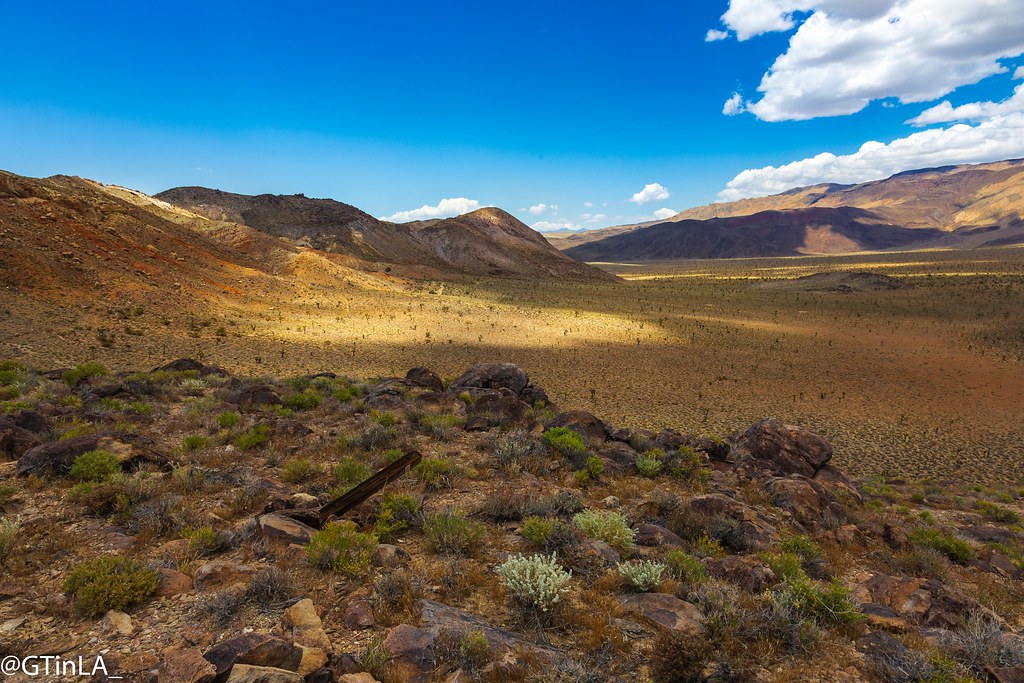 Joshua Tree Forest Views from the Cactus Flats Road near O… Gerhard