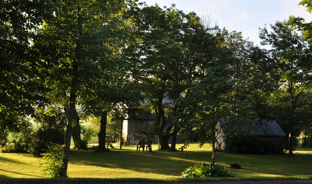 Pause sous les arbres. StDenis de la Bouteillerie Juillet… Flickr