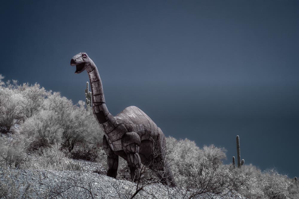Dinosaur in Arizona Dinosaur The Sonoran Desert in Infra… Flickr