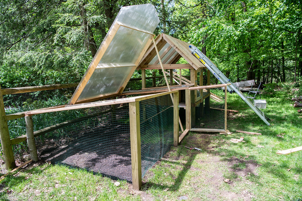 Chicken coop under construction Using available materials … Flickr