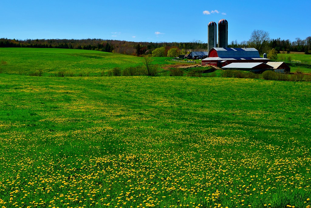 Shady Lane Farm in Old Barns, Nova Scotia Shady Lane Farm … Flickr