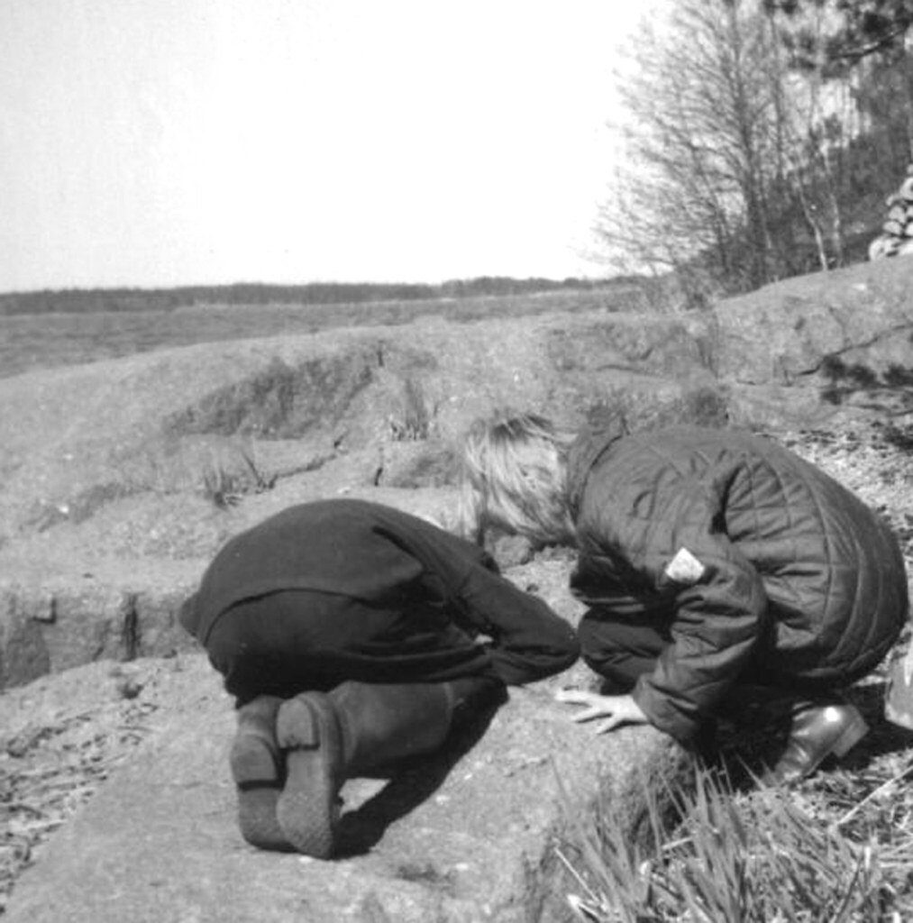 Minor Arson At what temperature does grass ignite? 1965 fi