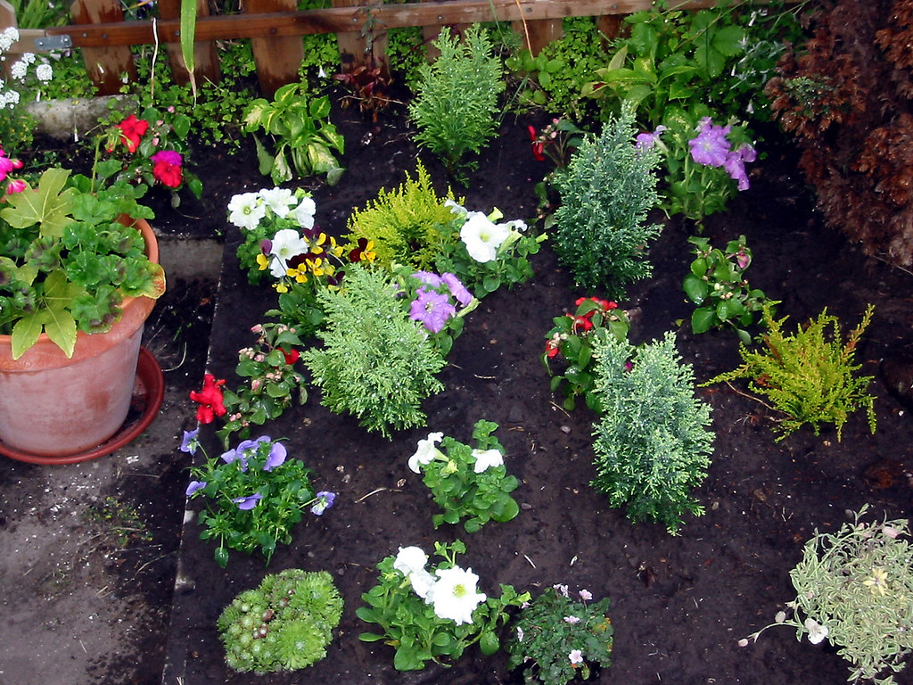 20040602004 My Garden, Broughty Ferry Peter Roberts Flickr