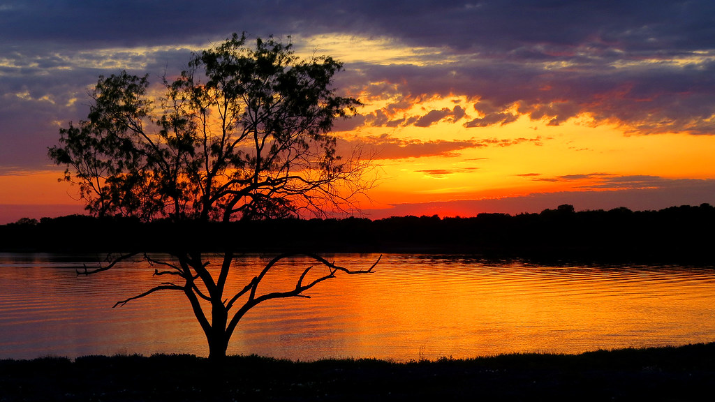 IMG_4728.1 Lake Bardwell Ennis, Texas Michael Hogan Flickr
