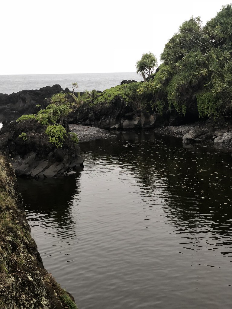 Green time, Maui, Hawaii, April’18 vlas.khilkevich Flickr