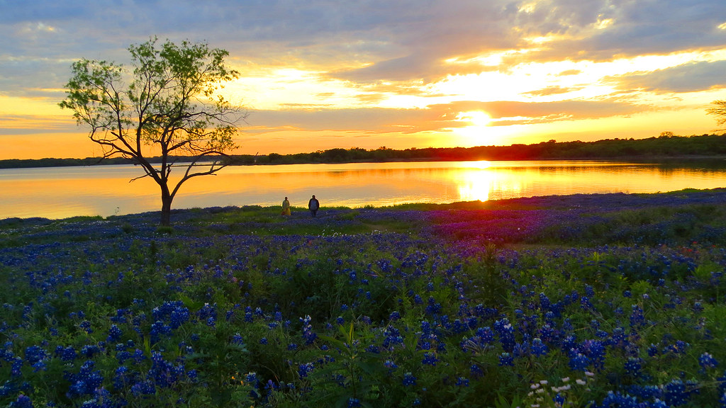 IMG_4643.1 Meadow View Nature Area Lake Bardwell Ennis Blu… Flickr