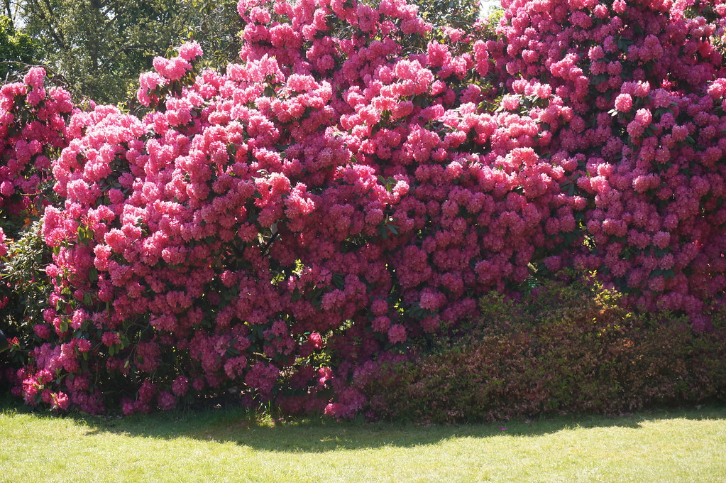 Kenwood Gardens Kenwood Gardens North London pauluk1234 Flickr