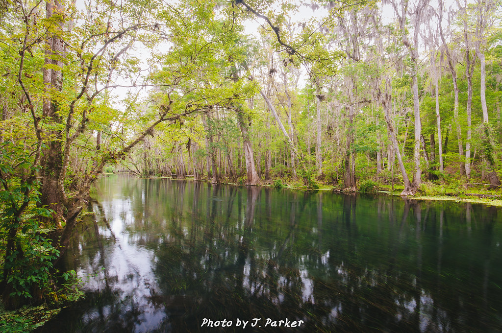 Ichetucknee River The Ichetucknee at midpoint landing. Jason Parker