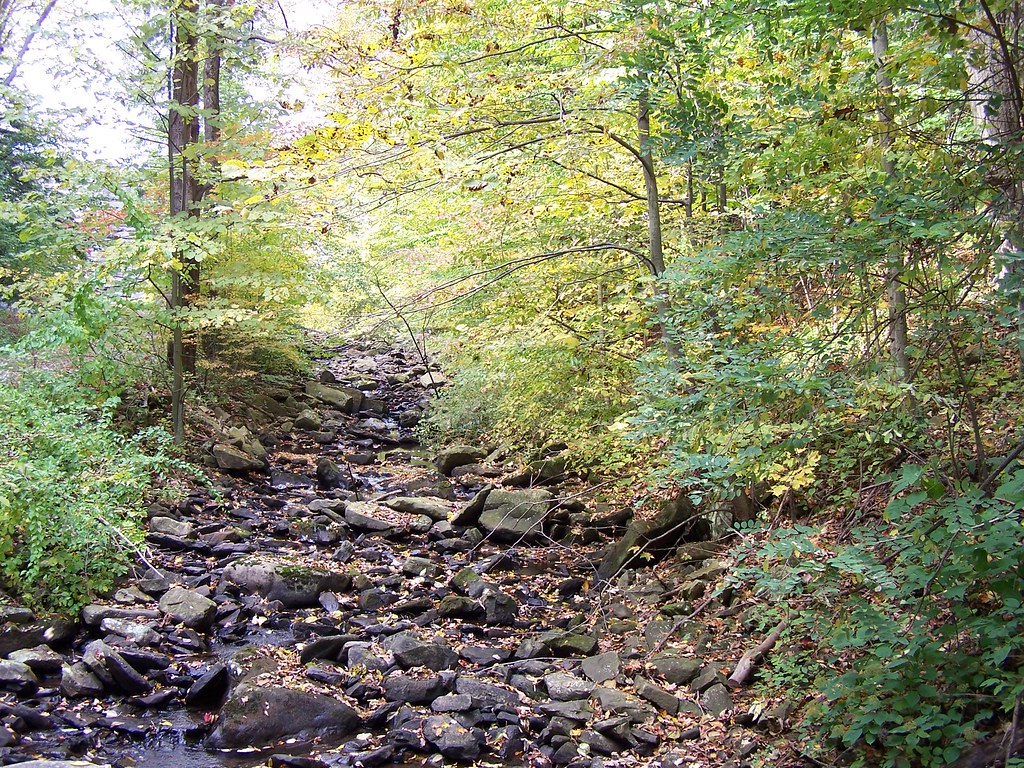Woods Near Prince Gallitzin Spring Blair County, Pennsylva… Flickr