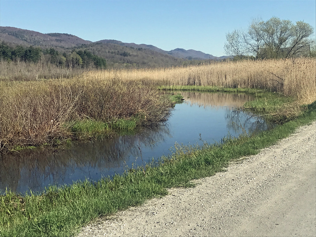2977 Castleton River Marble St, West Rutland Marsh vtbirdhouses
