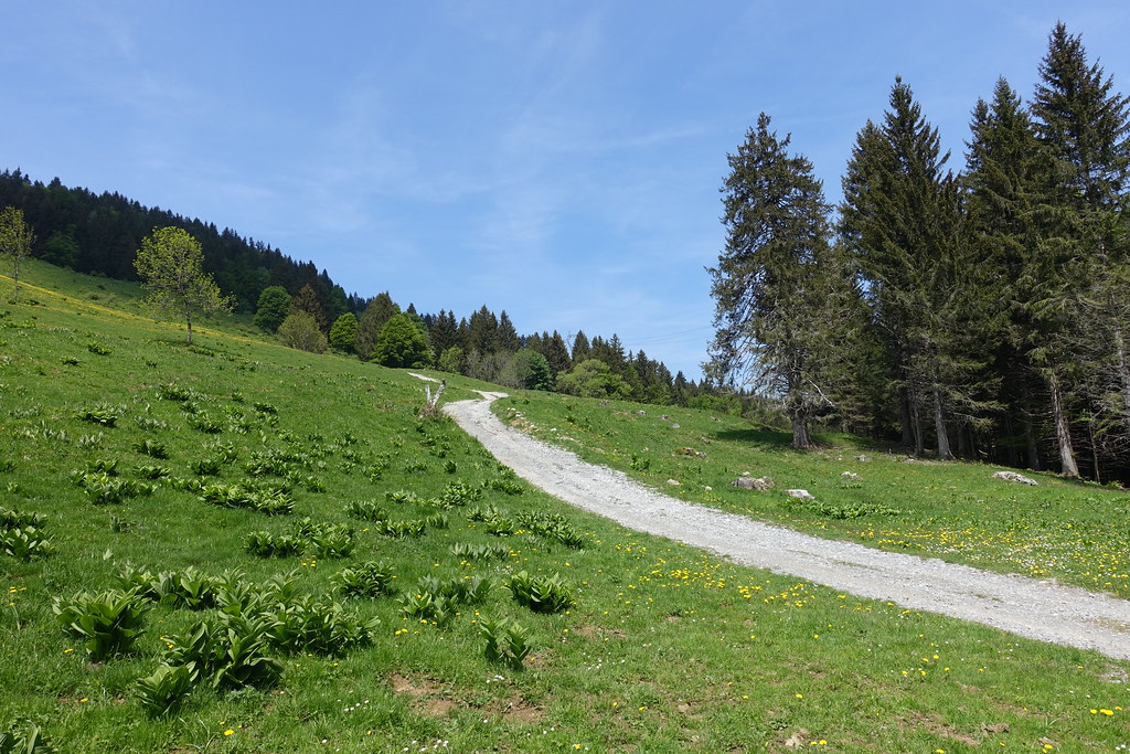 La Motte Hike to Pointe de Vélan Guilhem Vellut Flickr